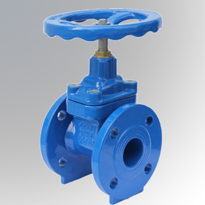 Resilient-Gate-Valve-Brass-Nut